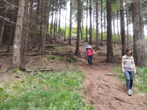 Wycieczka w Góry Kamienne s46 - PTTK Strzelin