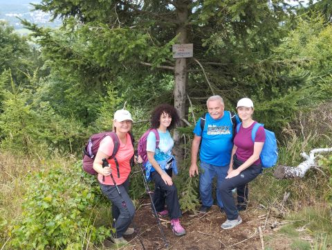 Wycieczka w Góry Kamienne s130 - PTTK Strzelin