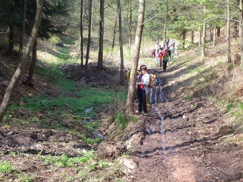 G�ry Kamienne - podej�cie na g�r� Jatki s006 - PTTK Strzelin