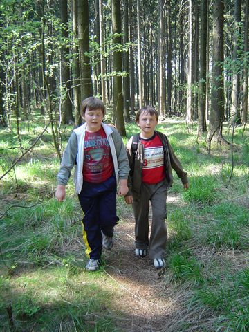 G�ry Kamienne - podej�cie na g�r� Jatki s008 - PTTK Strzelin