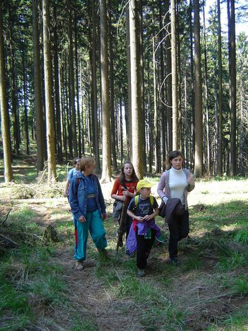 G�ry Kamienne - podej�cie na g�r� Jatki s010 - PTTK Strzelin