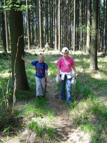 G�ry Kamienne - podej�cie na g�r� Jatki s011 - PTTK Strzelin