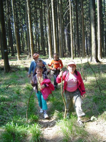 G�ry Kamienne - podej�cie na g�r� Jatki s014 - PTTK Strzelin