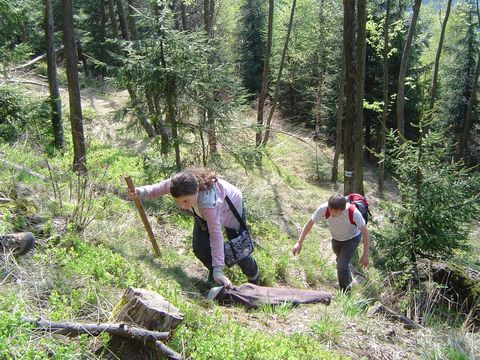 G�ry Kamienne - Garbatka s024 - PTTK Strzelin