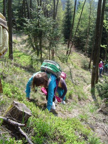 G�ry Kamienne - Garbatka s028 - PTTK Strzelin