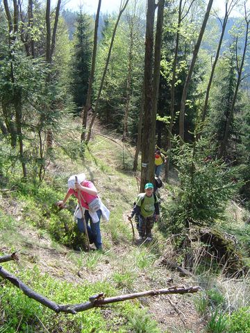 G�ry Kamienne - Garbatka s029 - PTTK Strzelin