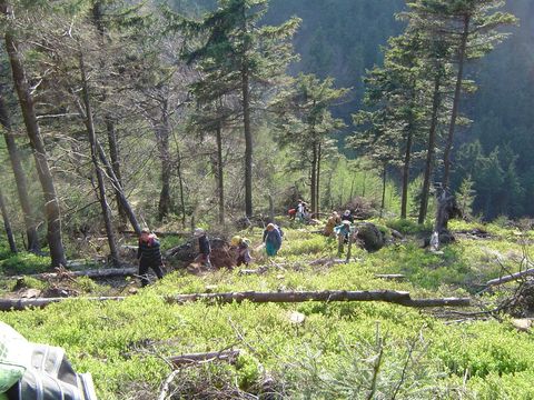 G�ry Kamienne - podej�cie na Suchaw� s054 - PTTK Strzelin