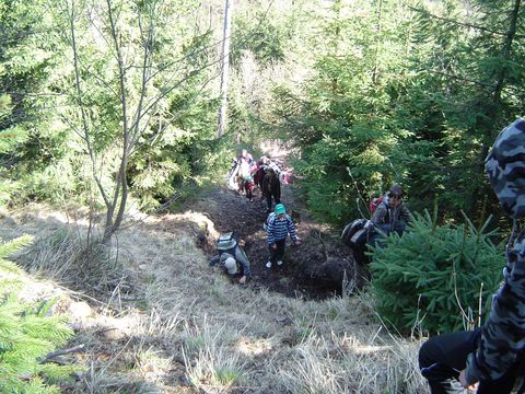 G�ry Kamienne - podej�cie na Walig�r� s088 - PTTK Strzelin