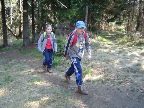 G�ry Kamienne - Walig�ra s091 - PTTK Strzelin