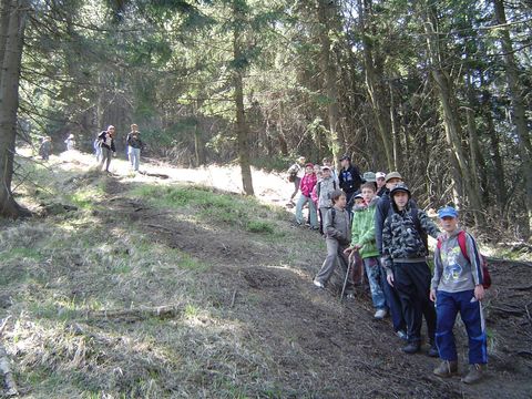 W drodze powrotnej do schroniska 'Andrzej�wka' s114 - PTTK Strzelin