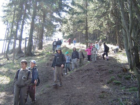 W drodze powrotnej do schroniska 'Andrzej�wka' s115 - PTTK Strzelin