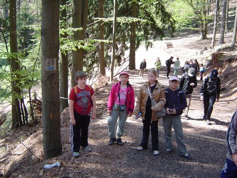 W drodze powrotnej do schroniska 'Andrzej�wka' s119 - PTTK Strzelin