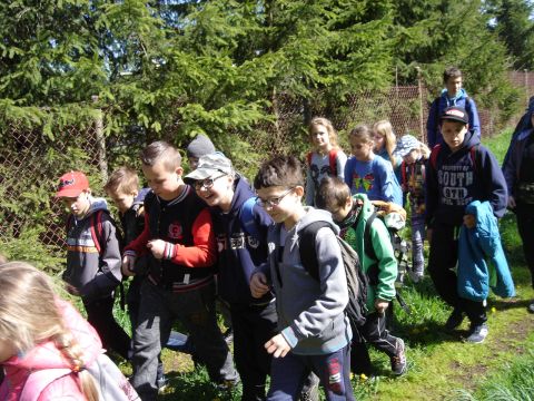 W drodze na Sto�ek Wielki s002 - PTTK Strzelin