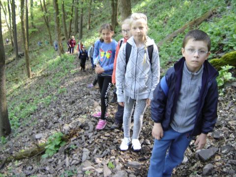 W drodze na Sto�ek Wielki s024 - PTTK Strzelin