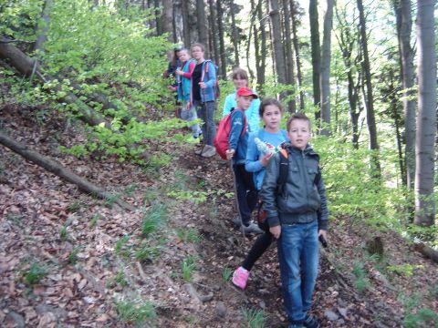 W drodze na Sto�ek Wielki s026 - PTTK Strzelin