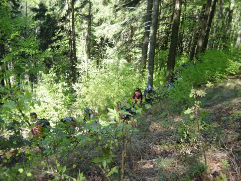 W drodze na Sto�ek Wielki s030 - PTTK Strzelin