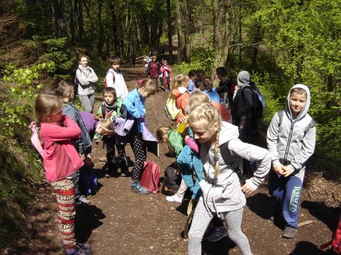 Zej�cie ze Sto�ka do Soko�owska s055 - PTTK Strzelin