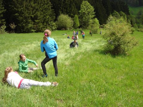 Zej�cie do Soko�owska s061 - PTTK Strzelin