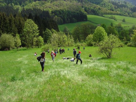 Zej�cie do Soko�owska s062 - PTTK Strzelin