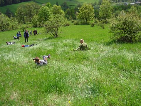 Zej�cie do Soko�owska s063 - PTTK Strzelin