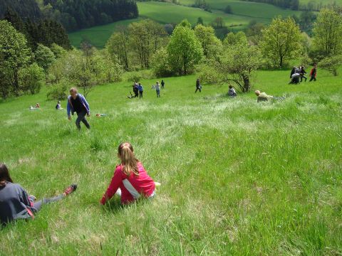 Zej�cie do Soko�owska s064 - PTTK Strzelin