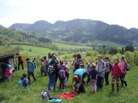 Zej�cie do Soko�owska s068 - PTTK Strzelin