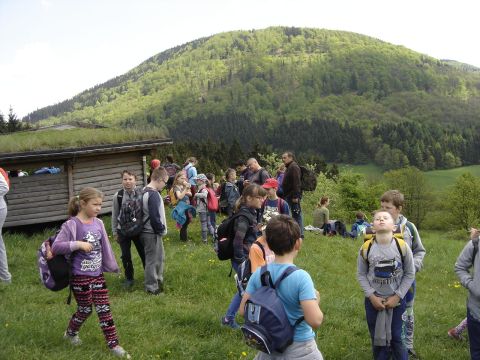 Zej�cie do Soko�owska s069 - PTTK Strzelin