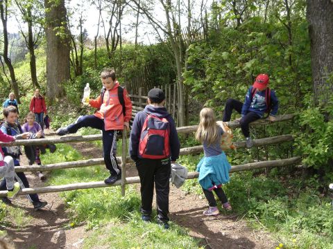 W drodze na Bukowiec s079 - PTTK Strzelin