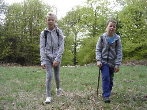 Bukowiec s087 - PTTK Strzelin