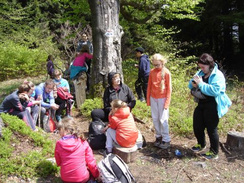 Bukowiec s091 - PTTK Strzelin