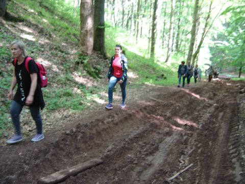 Pierwsze podej�cie do granicy pa�stwa s009 - PTTK Strzelin