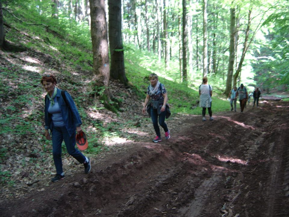 Pierwsze podej�cie do granicy pa�stwa d010 - PTTK Strzelin