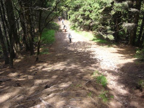 W drodze na Ruprechticki Szpiczak s029 - PTTK Strzelin