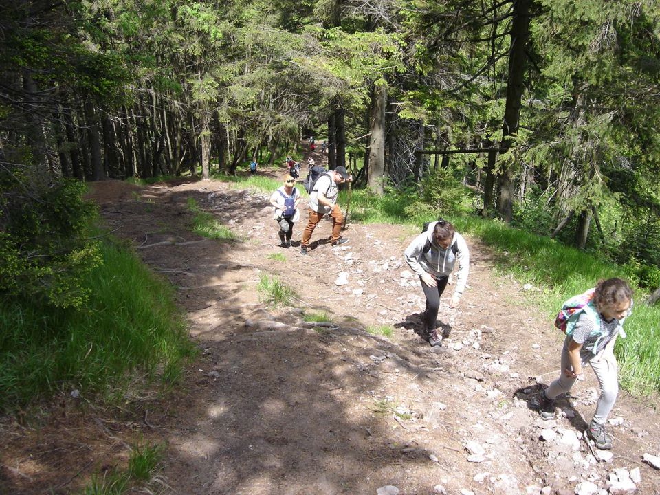 W drodze na Ruprechticki Szpiczak d030 - PTTK Strzelin