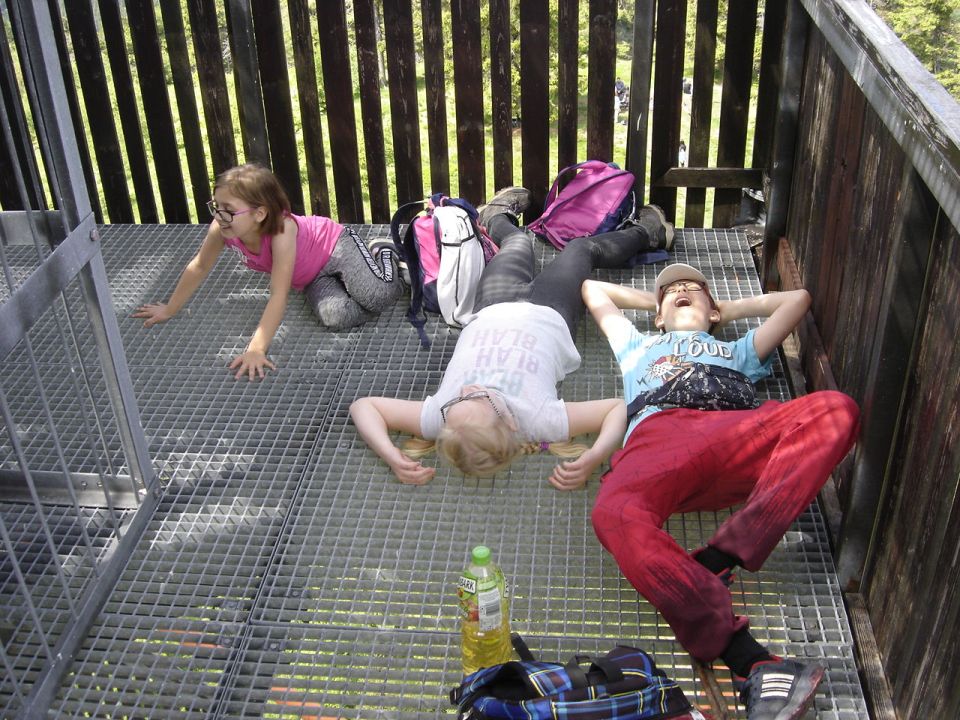 Ruprechticki Szpiczak d032 - PTTK Strzelin