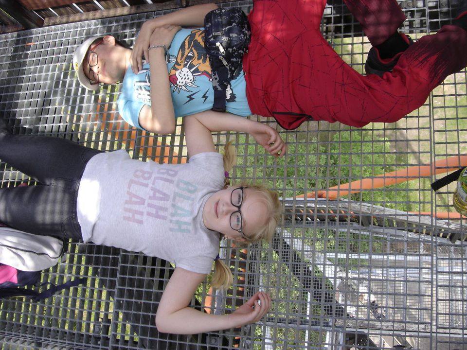 Ruprechticki Szpiczak d033 - PTTK Strzelin