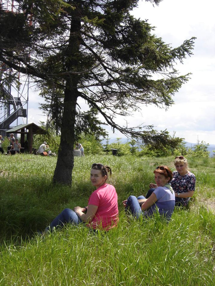 Ruprechticki Szpiczak d036 - PTTK Strzelin