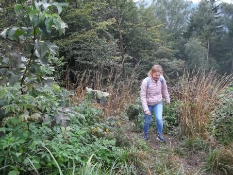 Wycieczka w Góry Kamienne s6 - PTTK Strzelin