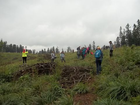 Wycieczka w Góry Kamienne s20 - PTTK Strzelin