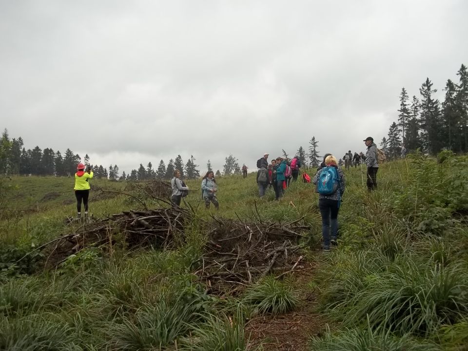 Wycieczka w Góry Kamienne s002 - PTTK Strzelin