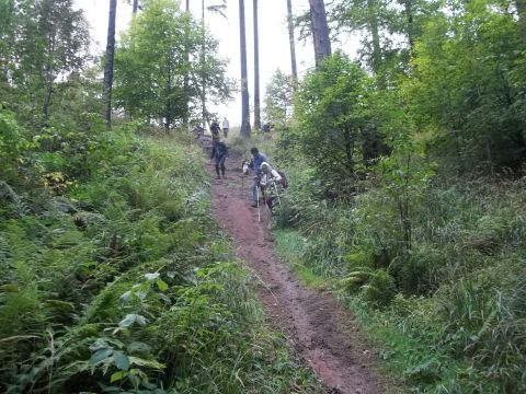 Wycieczka w Góry Kamienne s21 - PTTK Strzelin