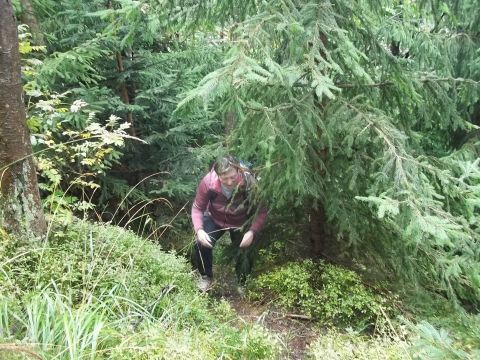 Wycieczka w Góry Kamienne s40 - PTTK Strzelin