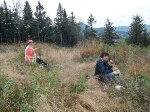 Wycieczka w Góry Kamienne s42 - PTTK Strzelin