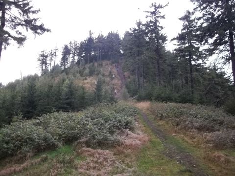 Wycieczka w Góry Kamienne s67 - PTTK Strzelin