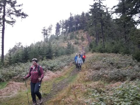 Wycieczka w Góry Kamienne s68 - PTTK Strzelin