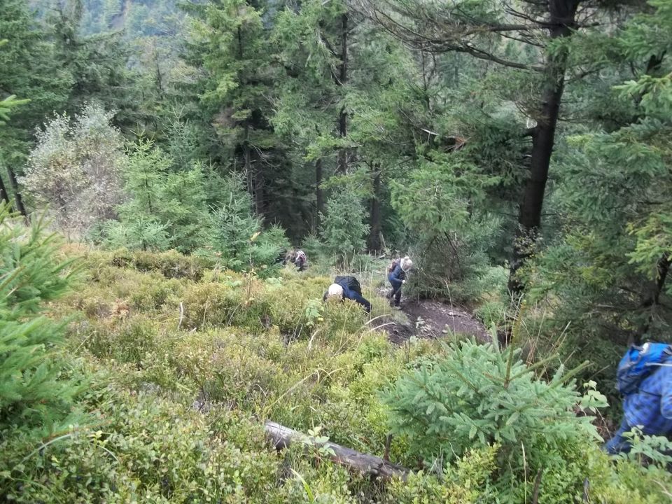 Wycieczka w Góry Kamienne s002 - PTTK Strzelin