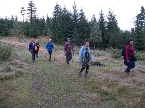 Wycieczka w Góry Kamienne s73 - PTTK Strzelin