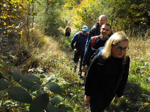 Wycieczka w Góry Kamienne s11 - PTTK Strzelin