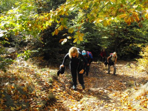 Wycieczka w Góry Kamienne s12 - PTTK Strzelin