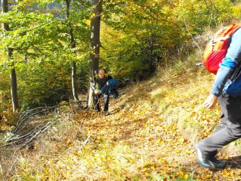 Wycieczka w Góry Kamienne s14 - PTTK Strzelin